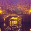 2012 11-Amsterdam Canal Bridge-1